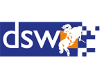 dsw consulting