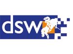 dsw consulting dsw consulting